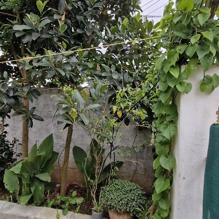 Malgudi Mane Homestay จิกมากาลูร์ ภายนอก รูปภาพ