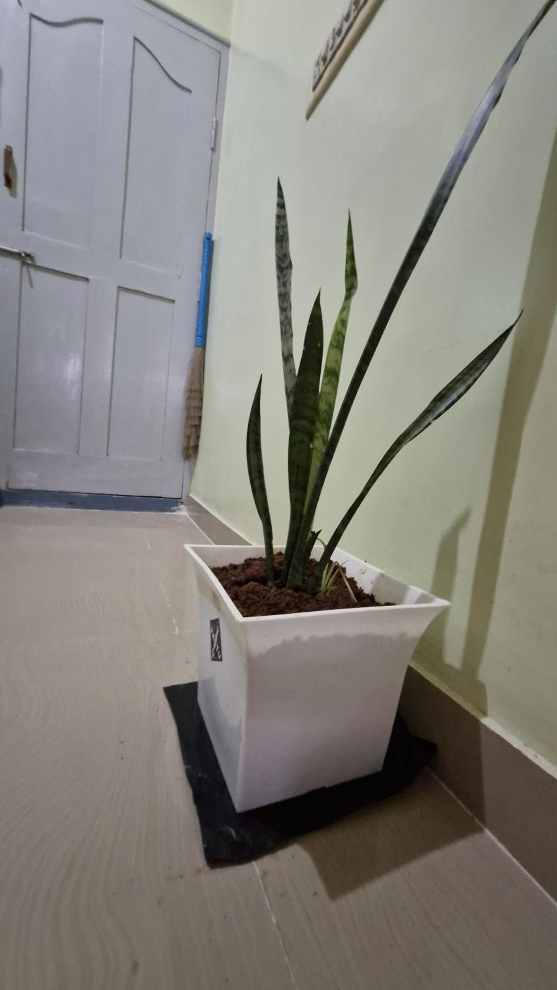 Malgudi Mane Homestay จิกมากาลูร์ ภายนอก รูปภาพ