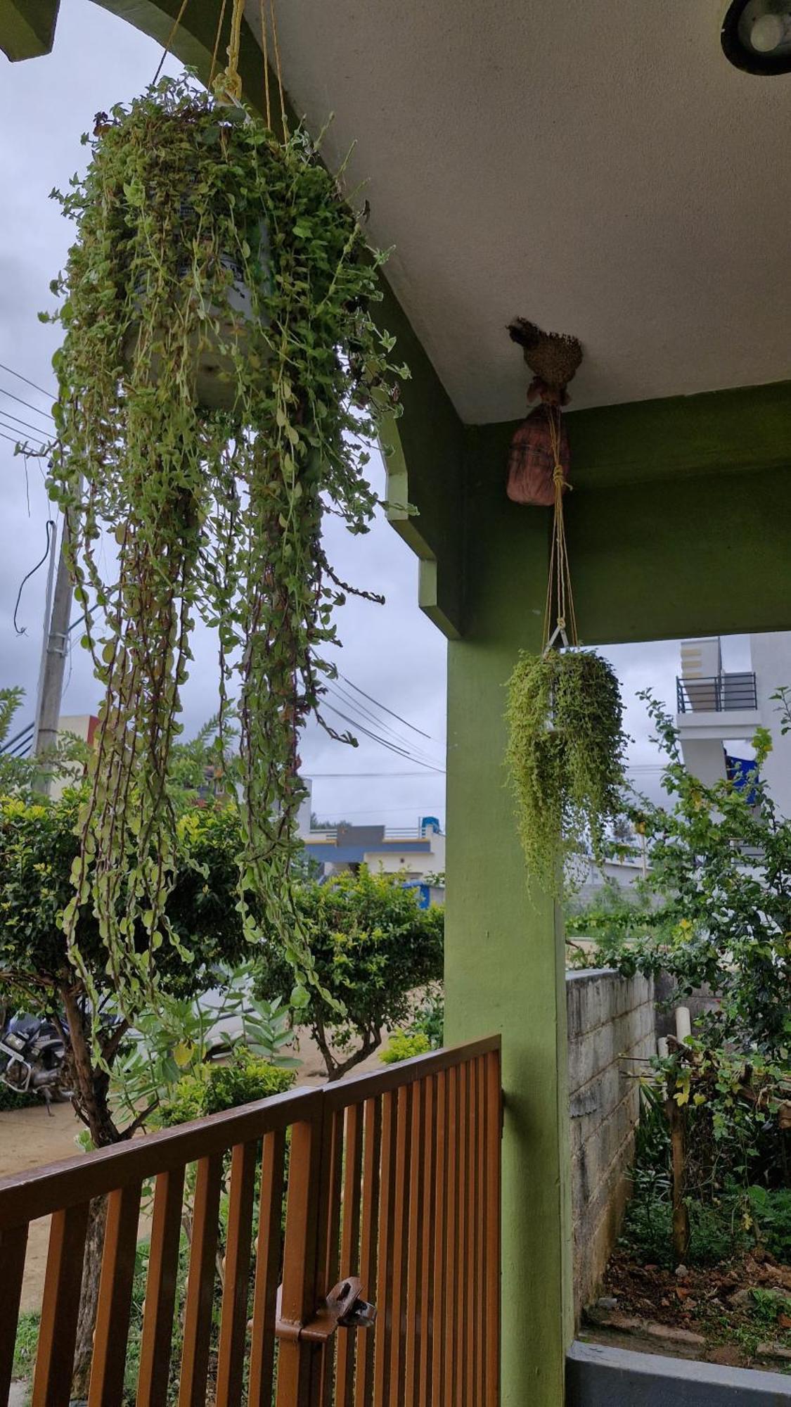 Malgudi Mane Homestay จิกมากาลูร์ ภายนอก รูปภาพ