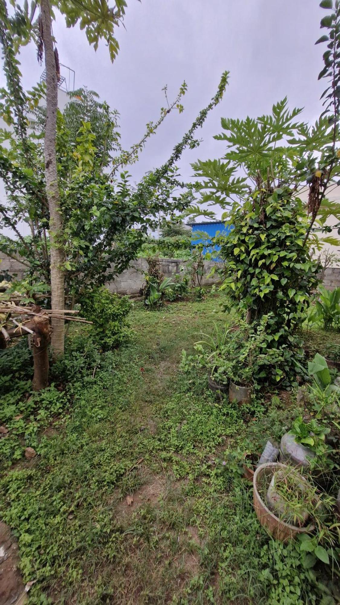 Malgudi Mane Homestay จิกมากาลูร์ ภายนอก รูปภาพ